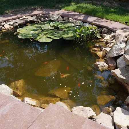 - Balaton 30360 公寓